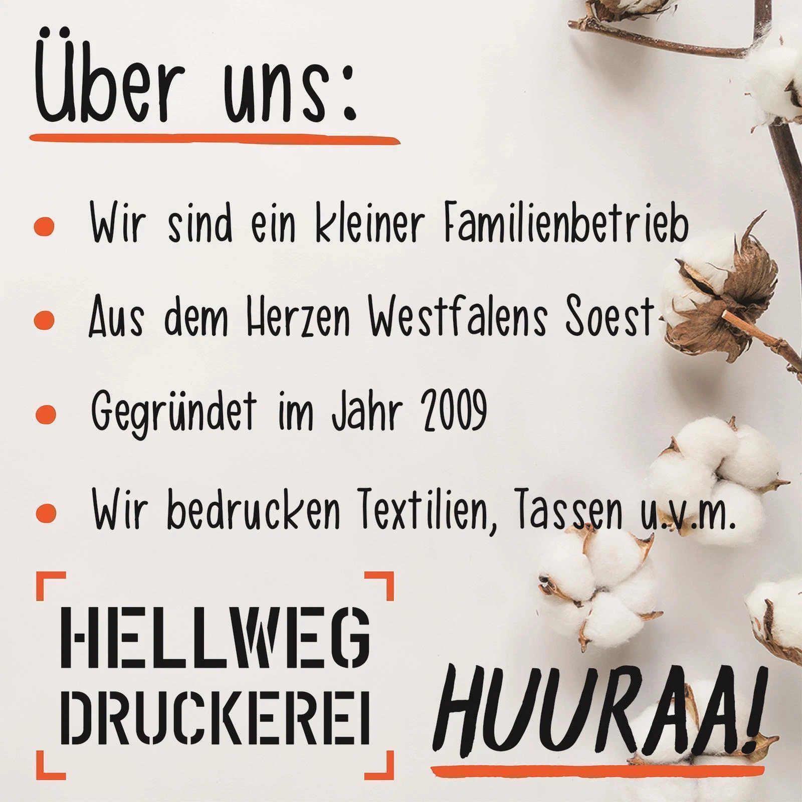 Bild 4 von 4