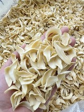 Premium 100% Natural Dried Large Lily Bulbs  ??????????? FREE P&P UK