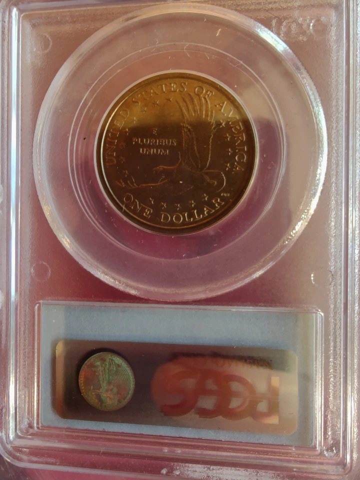 2001-P Sacagawea Dollar, Mint Error Experimental Rinse, Anti-Tarnish, PCGS MS-66 - Image 2 of 2