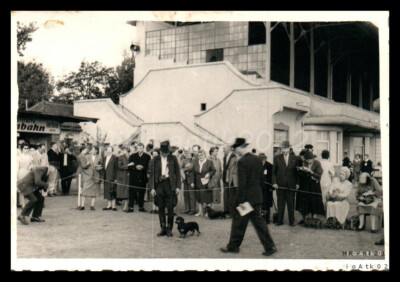 Foto, Rassehundeschau Erzgeb., Teckel Siegerausstellung in Leipzig d, 5026-1230