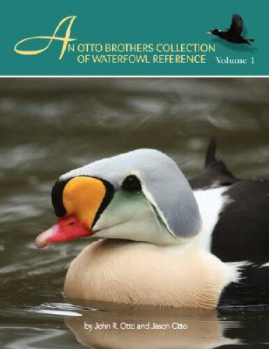 Thumbnail - An Otto Brothers Collection Of Waterfowl Reference