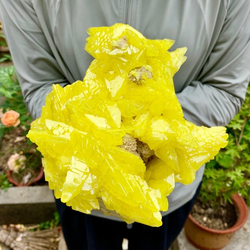 5.82LB Minerals ** LARGE NATIVE SULPHUR OnMATRIX Sicily- FREE - Picture 4 of 10