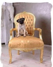 Sedia Poltrona Chair Imbottita Barocca Vari Colori Disponibili
