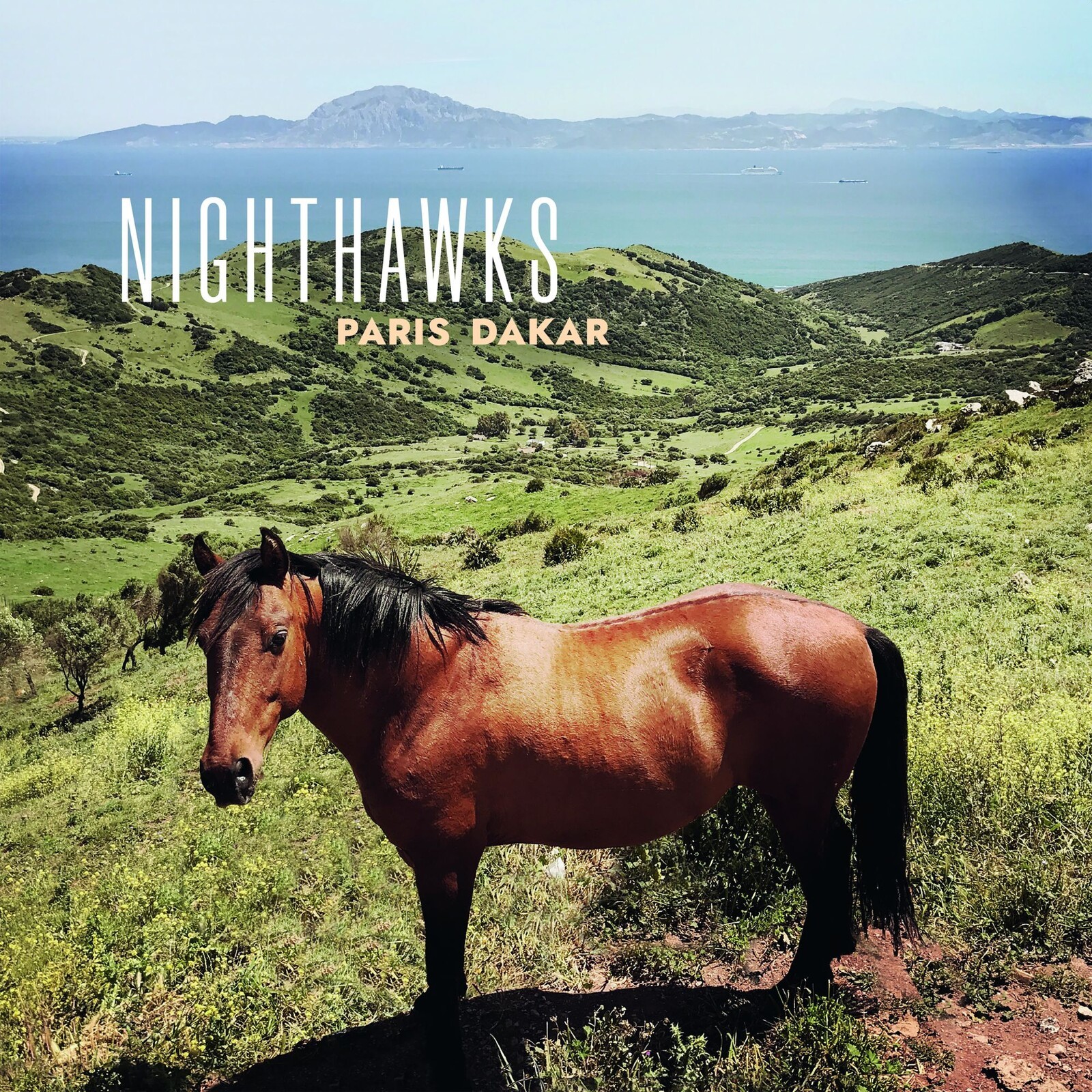 Nighthawks Paris Dakar LP Vinyl SAR226 NEW