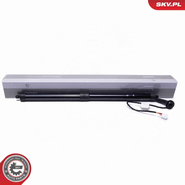 Esen Skv Elektromotor Heckklappe 52SKV955 FüR Lexus Nx 200T AGZ10_ AGZ10R Awd-image