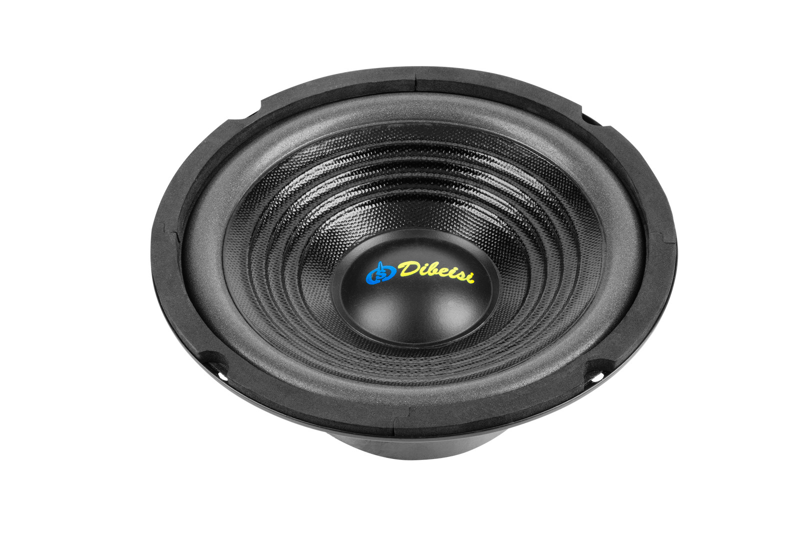 5901436717096 Радиоприемник 6,5 ДБС-G6501 4 Ом Dibeisi