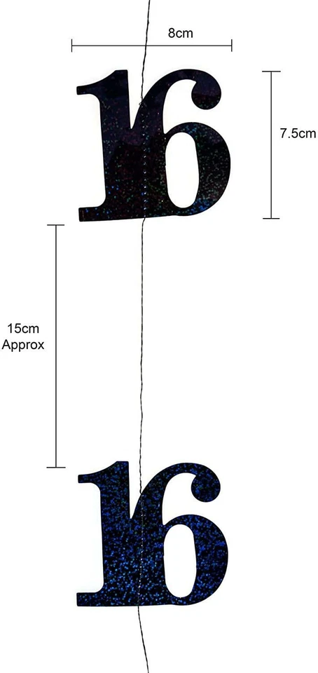 Cadena 16 Aniversario Cumpleaños Brillo Negro Colgante Fiesta Suministro Decoraciones Foto 3 de 4