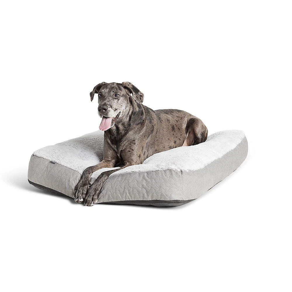 Top paw store orthopedic bed