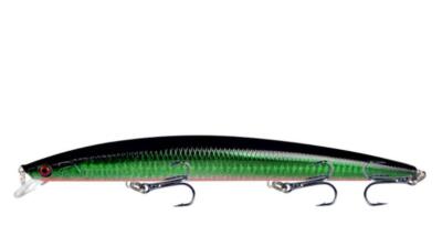 2 Esche Da Pesca Affondanti 18cm/24g Big Long Saltwater Hard Bait - A Forma Di Pesce Per Basso E Carpa