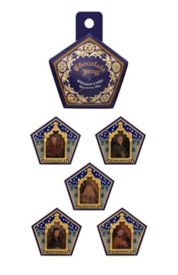Universal Studios Harry Potter Chocolate Frog Wizard Card Mystery