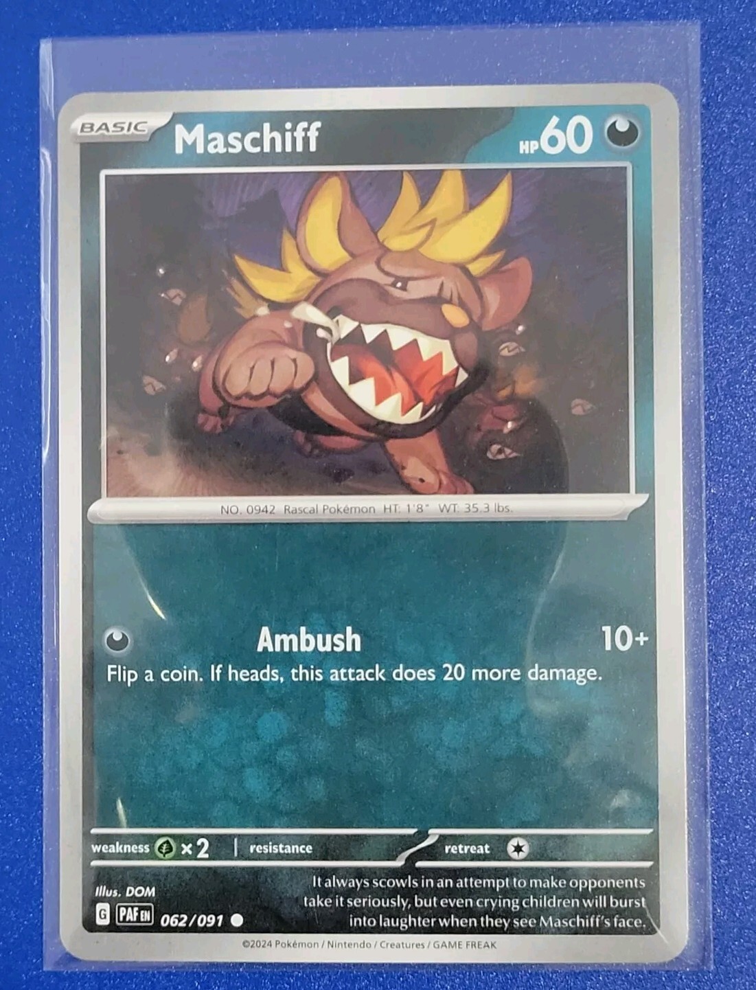 Pokémon TCG Paldean Fates: Maschiff (062/091) - Common - Near Mint