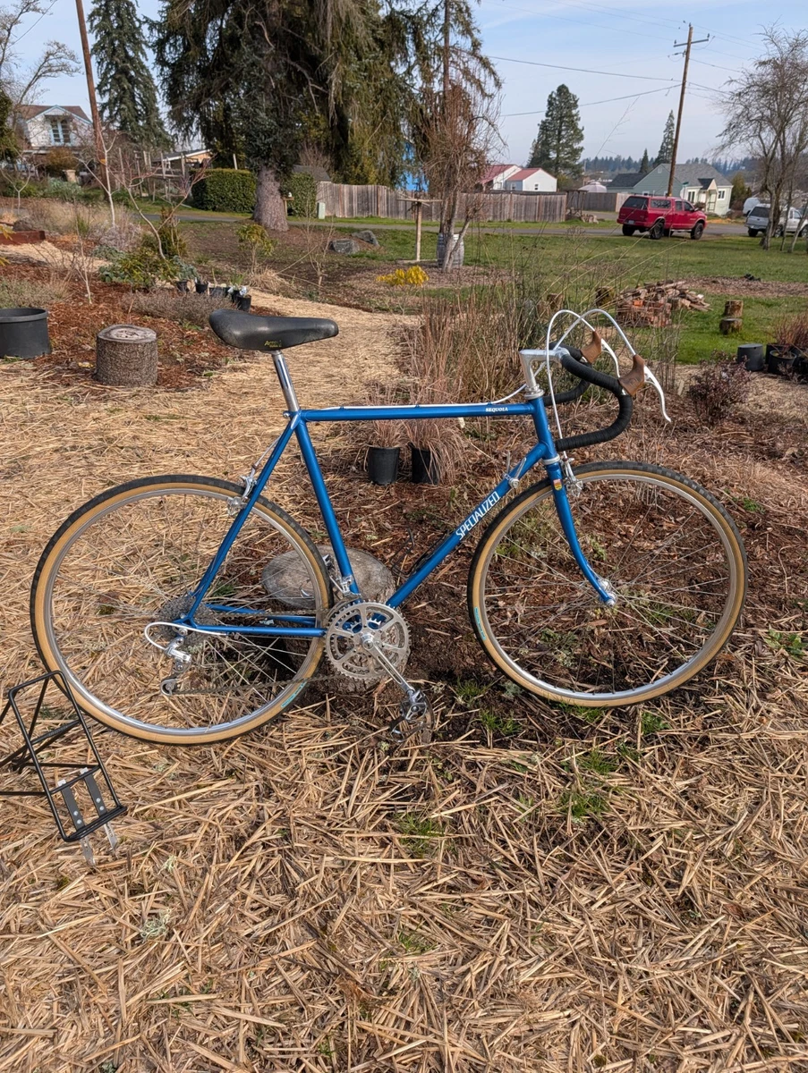 Vélo course vintage Specialized Epic Carbon - Vélos