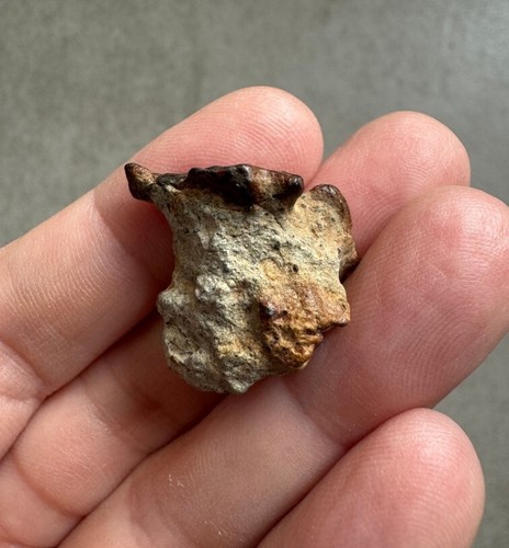 Meteorite achondrite ung dunite NWA 15717 pairing 8.6g - Foto 2 di 3