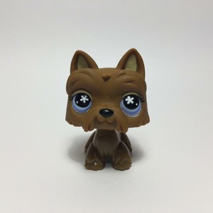 lps scottie