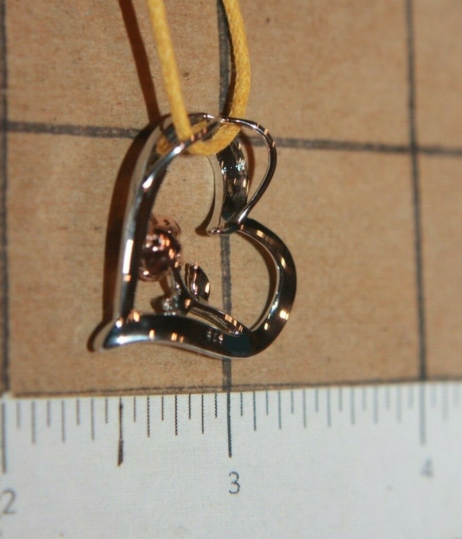 Picture 25 of 25