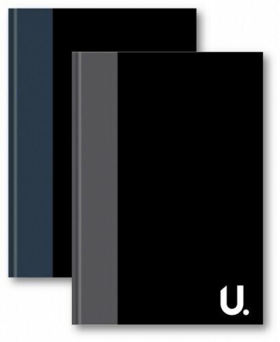 2x A4 notebook posteriore rigido foderato pianificatore diario regolato tampone scrittura diario grigio e blu - Foto 1 di 1