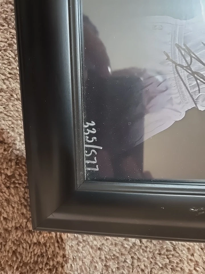 MN TIMBERWOLVES TEAM Autographed 25x20" PICTURE, 12 Autos - Image 3 of 4