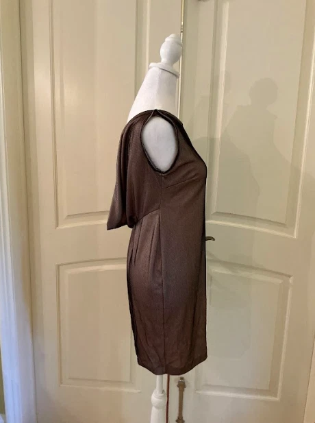 Pinko 棕色圆领露背无袖迷你连衣裙意大利制造 S 码 — 第 3/4 张图片