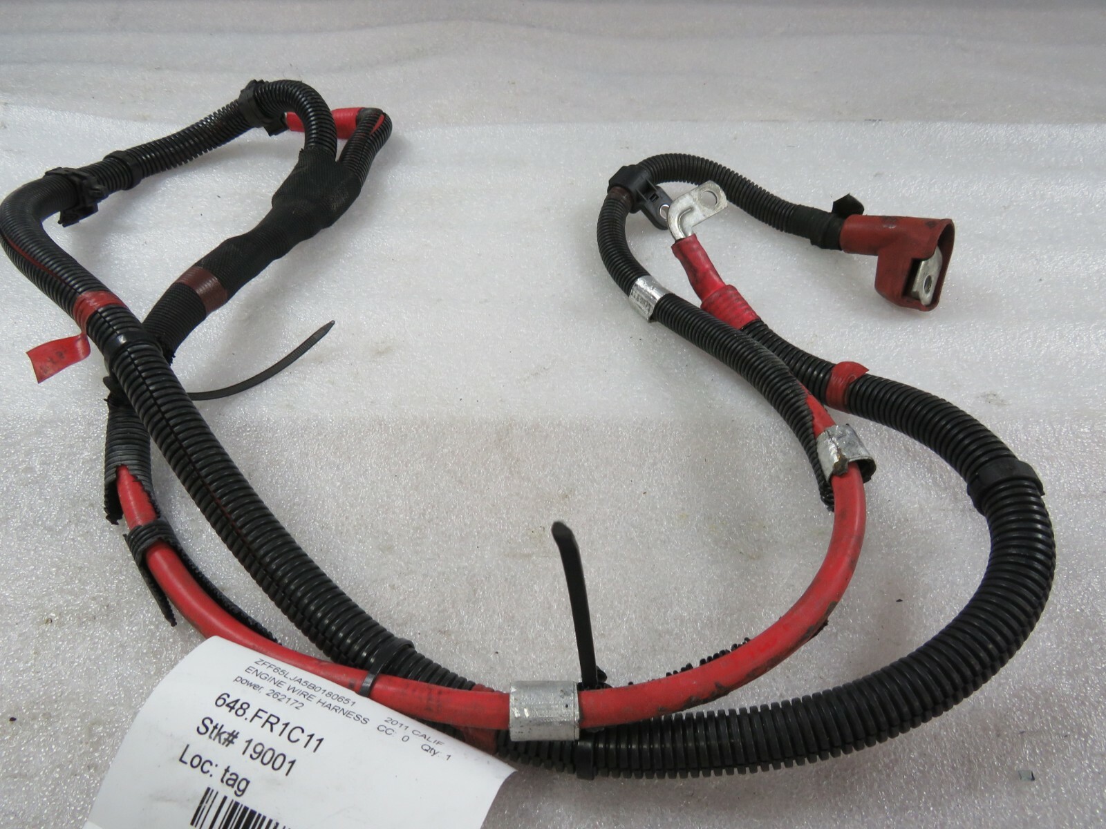 Ferrari California, Power Engine Wire Harness, Used, P/N 262172