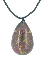 Real Scorpion Purple and Black Resin Pendant Christmas Gift