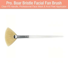Face Mask Fan Brush Stiff Fine Boar Bristle Clear Handle Chemical Peel -SB4011x1
