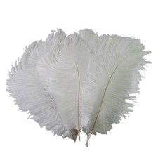 12 pcs 24-26" long White Genuine Ostrich FEATHERS Wedding Party Centerpieces