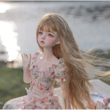 1/4 BJD Doll Full Set Sweet Girl Resin Joints Body Eyes Face Makeup Wig Toy GIFT