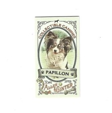 2019 Topps Allen and Ginter Mini Collectible Canines #CC14 Papillon