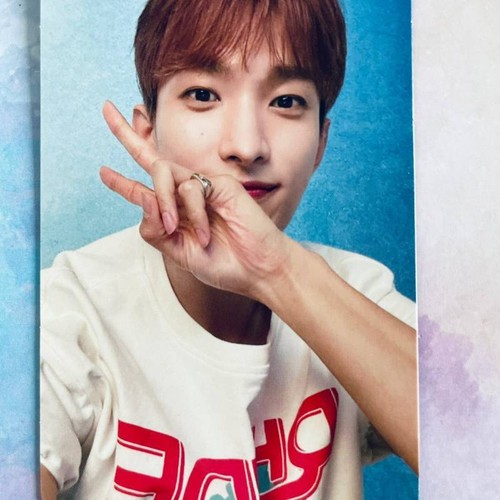 SEVENTEEN ALWAYS YOURS JAPAN BEST ALBUM Photo Card Carat Ver. Limited PC - Picture 26 of 45