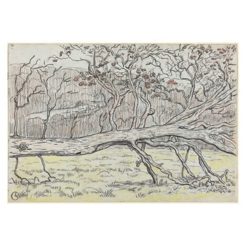 tree-sketch-realistic-poster-nature-wall-art-living-room-decor