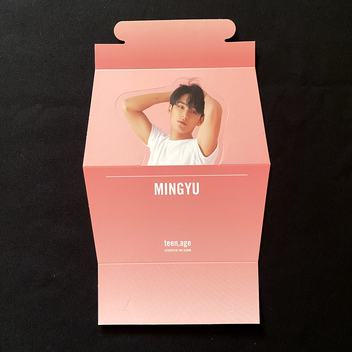 SEVENTEEN - seventeen MINGYU ミンギュ　金珉奎 teen age トレカ SEVENTEEN 2nd album TEEN AGE Mingyu photo card set of 5