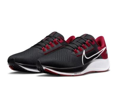Nike Air Zoom Pegasus 38 'Arkansas Razorbacks' DJ0817-001 Running