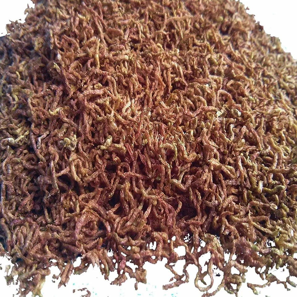 Blood worms Fish Food Freeze Dried for Tropical Marine Reptiles Koi Goldfish Fry