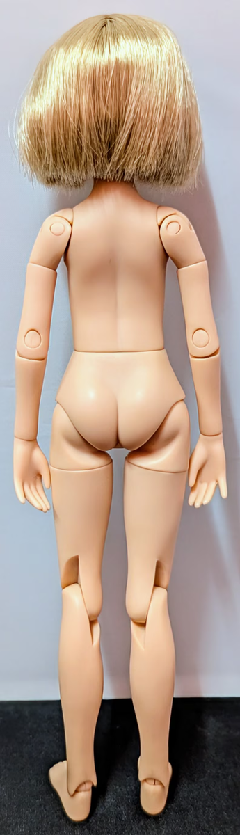 PetWorks CCSgirl 23AW Ruruko Fashion Doll Close Clipped PetWorks CCSgirl 23AW Ruruko Fashion Doll Close Clipped