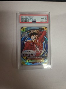 One Piece Day 2024 | eBay