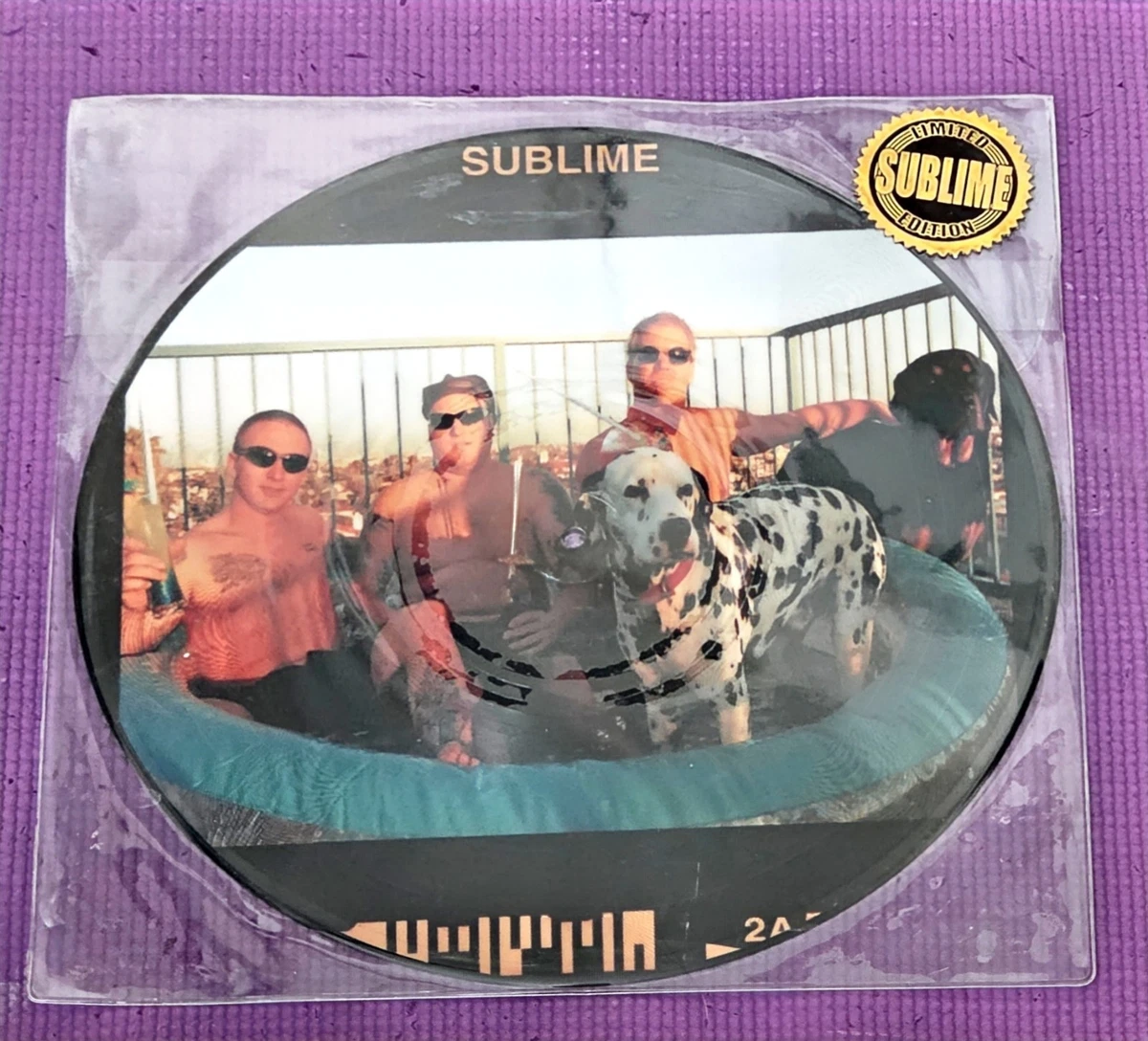 25+ Sublime LP Picture Disc Vinyl Records for sale | Updated Oct 2026