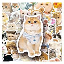 20 Fun Cat Kitty Pet Cute Meme Stickers Decals For Laptops Phone Journal Mix Set