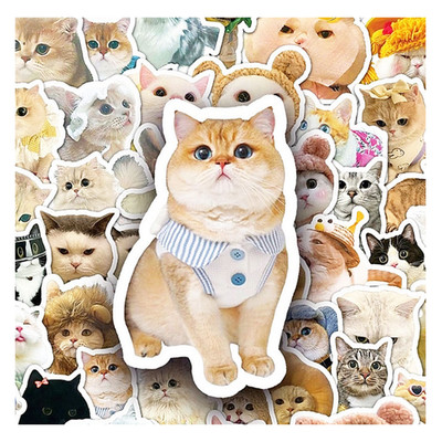 20 Fun Cat Kitty Pet Cute Meme Stickers Decals For Laptops Phone Journal Mix Set