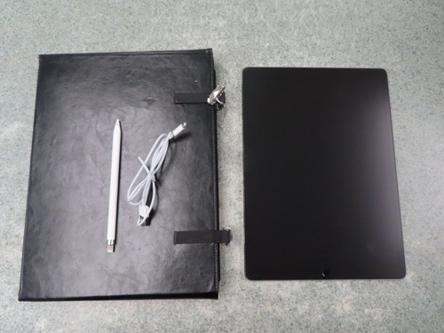 Apple iPad Pro 2nd Gen. 64GB Wi-Fi 12.9" w/ Pen - Picture 2 of 7