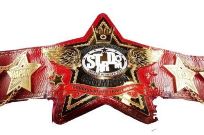 Goddess Of the Fight World of Stardom Championship Title Belt