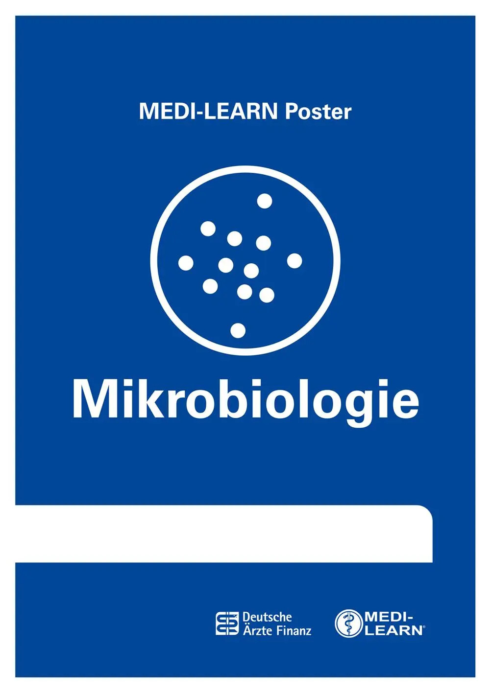 Mikrobiologie | MEDI-LEARN Poster | Christian Meise (u. a.) | Deutsch | Poster - Image 2