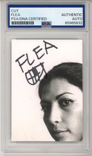 FLEA HONORA SIGNED ALBUM COVER PHOTO PSA DNA COA AUTOGRAPH RED HOT CHILI PEPPERS