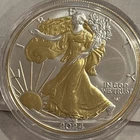2024-W American Silver Eagle Gold Gilded 1 oz .999 Silver Coin w/ Capsule