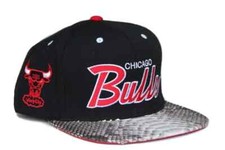 Chicago Bulls Collecting and Fan Guide 53