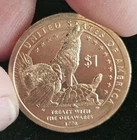 2013-D Native American Dollar — photo from another recent sale