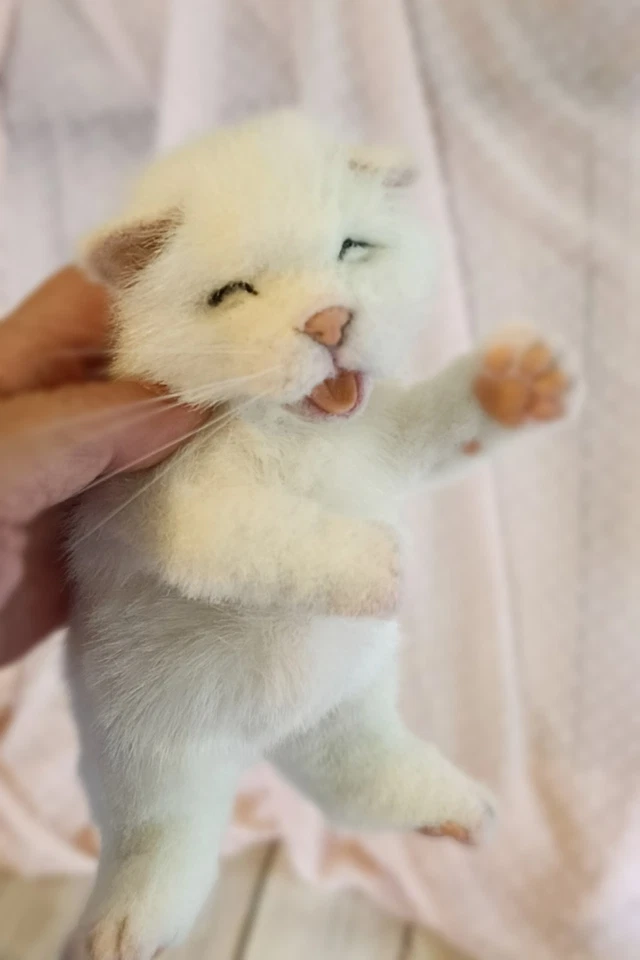realistic newborn plush  kitten handmade-OOAK - Collectible Art Doll - Image 4 of 4