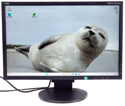 NEC MultiSync EA223WM 22'' LED PC Monitor für Windows XP 7 10 11  VGALautsprecher