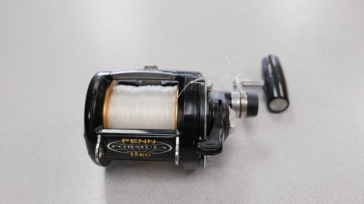 ペン　フォーミュラ　2スピード　15KG ペン フォーミュラ 2スピード 15KG 【公式通販】 リール