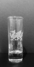 Gallese Dragone Incisione Vetro Shot Laser Incisione X 1 60ml