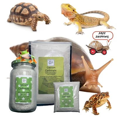 BUGZNBITS Calcium Carbonate, Calci powder, Giant African Land Snails, Reptiles, Tortoises
